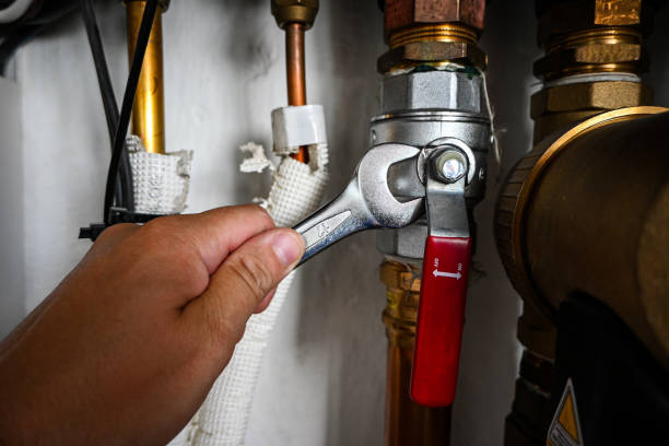 Best Same-Day Plumbing Service  in Moulton, AL
